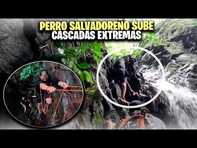 Miren lo guerrero que salió Tontin en esta aventura extrema. Todos logramos subir esta cascada