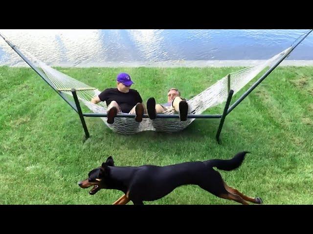 Try Not to Laugh Challenge   Scary Funny Fails