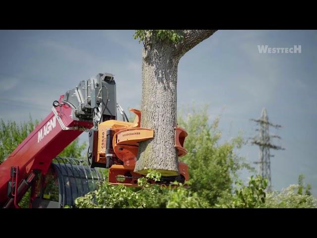 MAGNI Telescopic handler with tree attachment