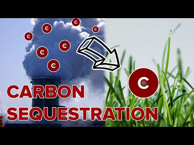 What if Carbon Sequestration Became the New Normal?