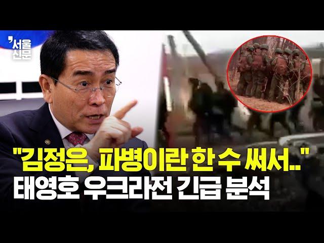 "사실 김정은의 전략은.." 태영호가 바라본 '러시아 배팅'의 의미