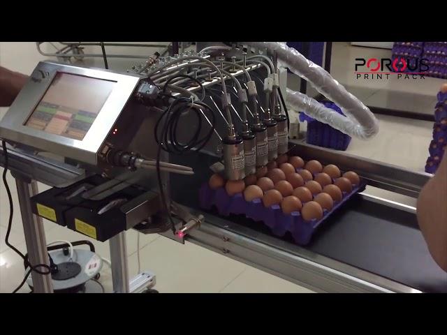 Porous Printpack - Egg Coding Machine