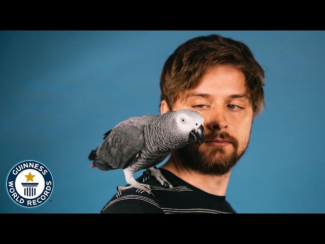 Apollo The Genius Parrot - Guinness World Records