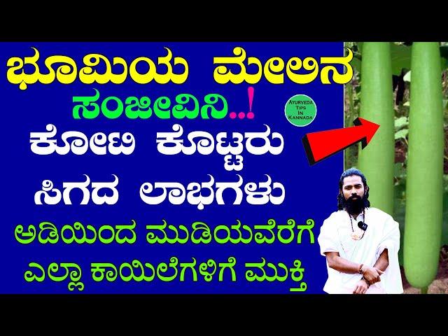 ಭೂಮಿಯ ಮೇಲಿನ ಸಂಜೀವಿನಿ | Benefits of drinking bottle gourd juice Kannada | Sorekai Benefits in Kannada