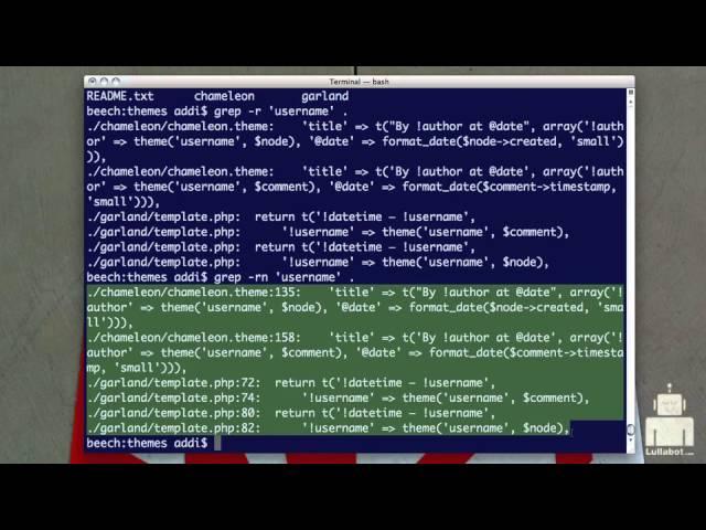 Command Line Basics 8: Using the grep command