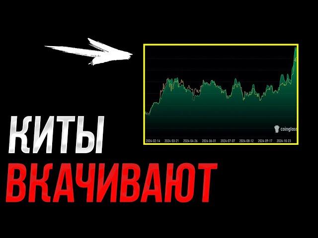 ️БИТКОИН - Киты двигают рынок! | Прогноз | Сегодня | Крипта