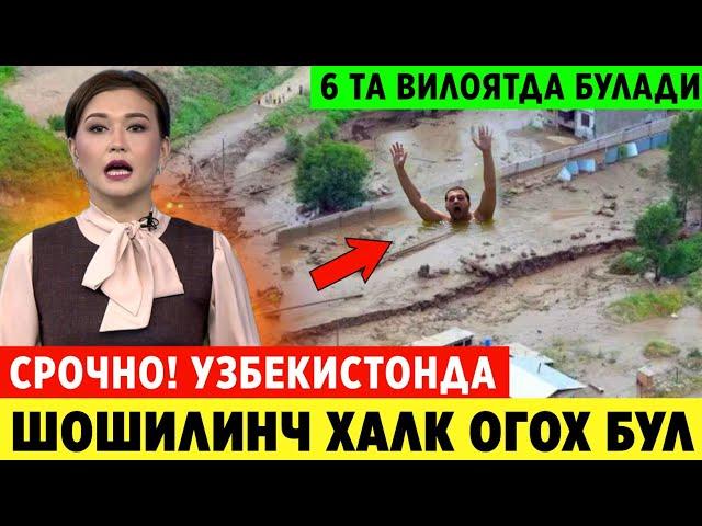 ШОШИЛИНЧ! ТАЙЁР ТУРИНГ УЗБЕКИСТОНДА 6 ТА ВИЛОЯТДА БОШЛАНАДИ ХАММА КУРСИН..