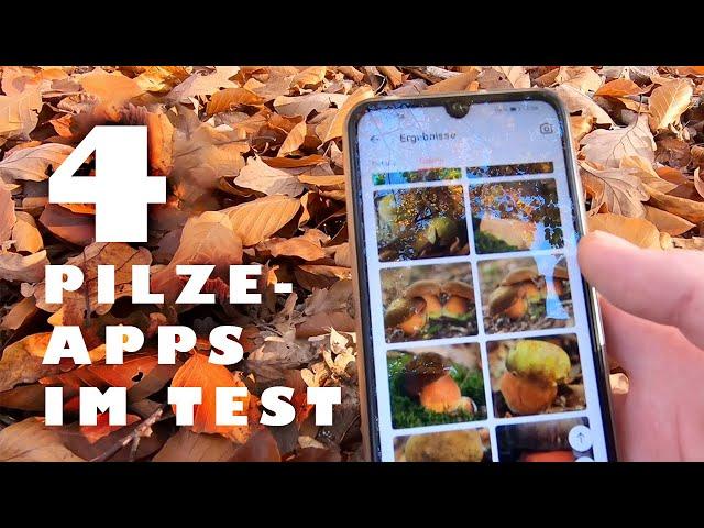 4 Pilze Apps im Test