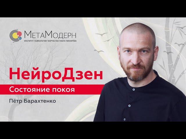 Дзен медитация онлайн. НейроДинамика / Петр Барахтенко