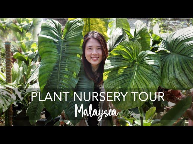 Plant Nursery Tour in Malaysia | Exotic, Rare & OVERSIZED Tropical Plants (with 40+ plant IDs)