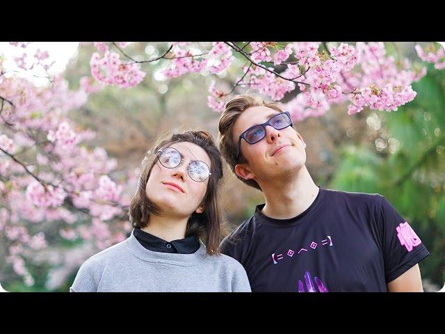 Tokyo Cherry Blossom Festival and Cat Cafe! | Evan Edinger Travel