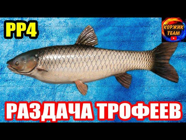 Трофейные АМУРЫ на оз. Острог... ● Русская Рыбалка 4 | РР4