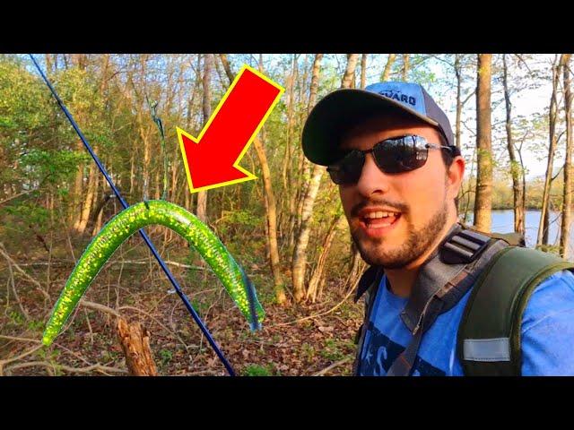 The Wacky Rig Strikes Again!!! Bronco Outdoors Goes Fishing: Episode 1