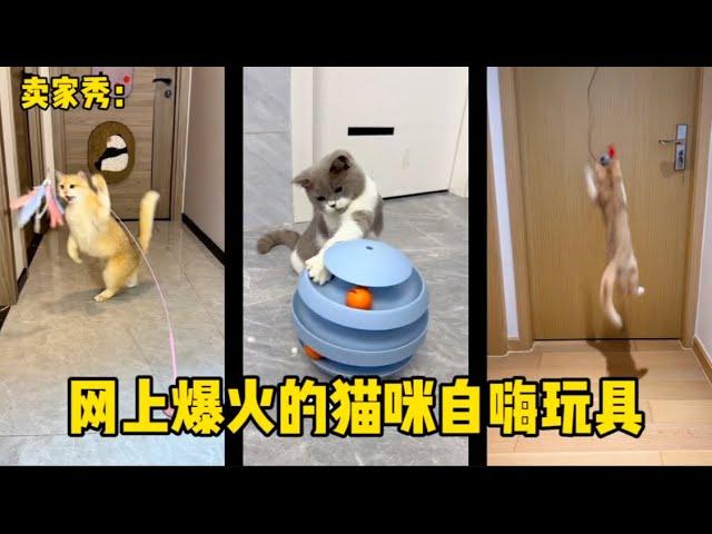 网上爆火的猫咪自嗨玩具 |郭小嚜