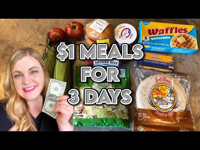 Extreme Grocery Budget Challenge | 3 Days of $1 Meals | $9 Total for 1 Adult