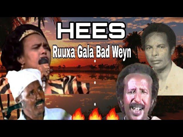 HEES | Ruuxa Gala Bad Weyn | Maxamed Yuusuf Iyo Sahra Axmed | Original |Lyrics