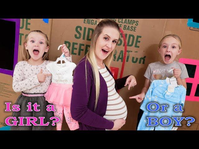 Our Mom is Pregnant for 24 Hours Challenge! Is the Baby a Boy or Girl?