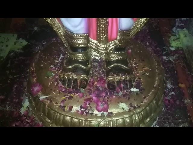 the lord tirupati balaji god  real view