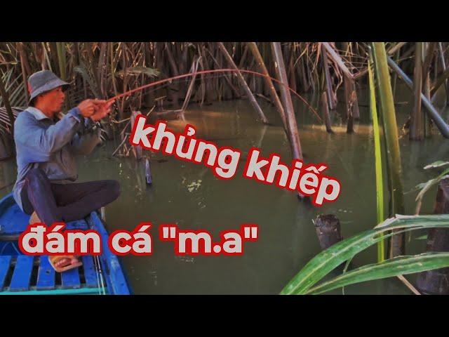 Khủng Khiếp Đám Cá " M.a " - Quá Bất Ngờ Khi Câu Cá Trong Những Bụi Rậm | săn bắt ba vát |