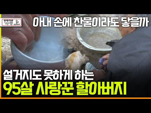 [멜로다큐 '가족' 311회 上] 아내 손에 찬물이라도 닿을까 설거지도 못하게 하는 95살 사랑꾼 할아버지