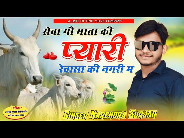 सेवा गौ माता की प्यारी रेवासा की नगरी म singer Narendra gurjar