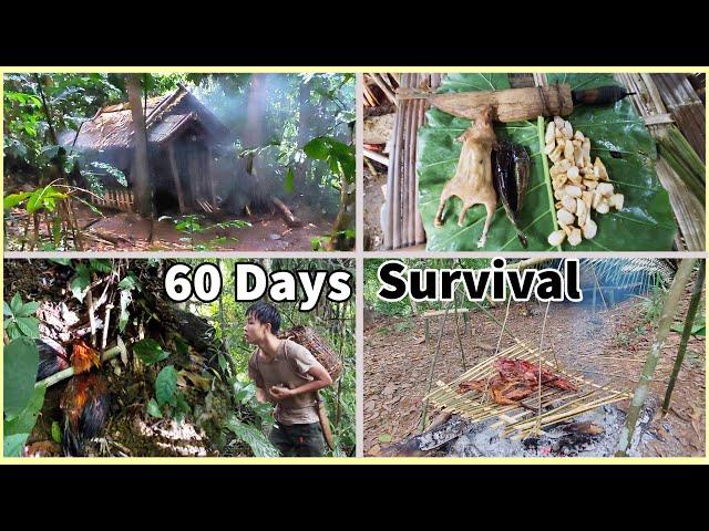 60 Day Survival Challenge | Survival Alone In The Rainforest