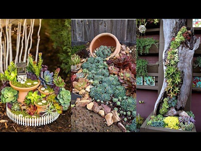 23 Awesome Succulent Porch Garden Ideas to Boost Curb Appeal