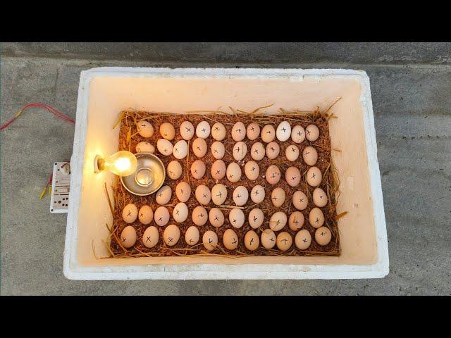 How to make incubator at home // Homemade Incubator Hatching day 21