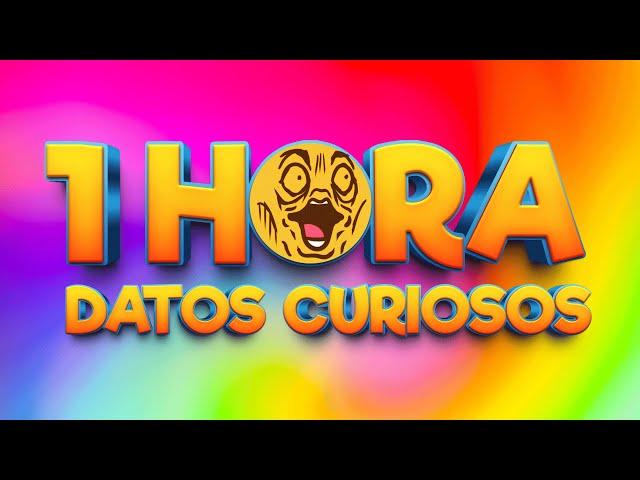 1 HORA DE DATOS CURIOSOS Y CURIOSIDADES! ⏰