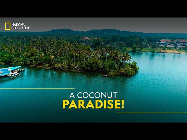 A Coconut Paradise! | It Happens Only in India | National Geographic