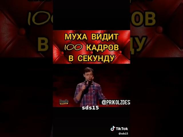 Муха видит сто кадров в минуту