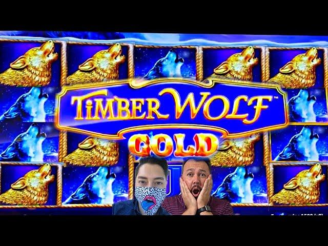 Our 1st BONUS on NEW Timber Wolf GOLD was HUGE!