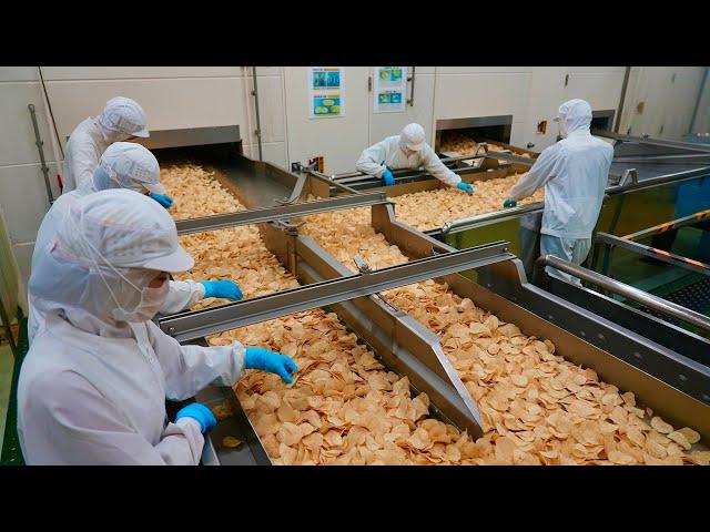 The Mass Production Process of Seaweed-Salted Potato Chips in a Japanese Factory.