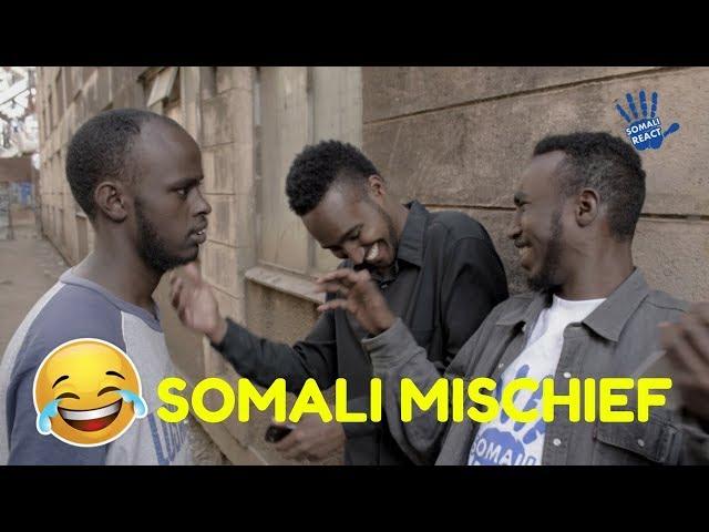 Somali Mischief