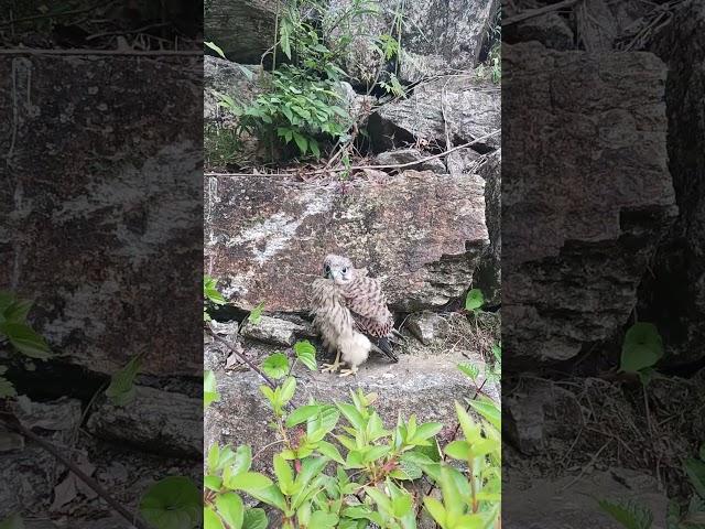 전원주택 전망좋은집 명지산 #nature 운악산 연인산 를한눈에 구매문의01030161624