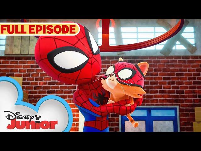 Spidey Cat | S2 E18 Pt. 2 | Full Episode | Marvel's Spidey and his Amazing Friends | @disneyjr​