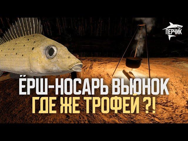 ЁРШ-НОСАРЬ Вьюнок + состязания со зрителями ● Перчик РР4 Русская рыбалка 4