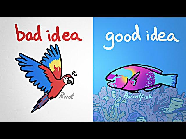 How Fish Get Away With Being Colorful