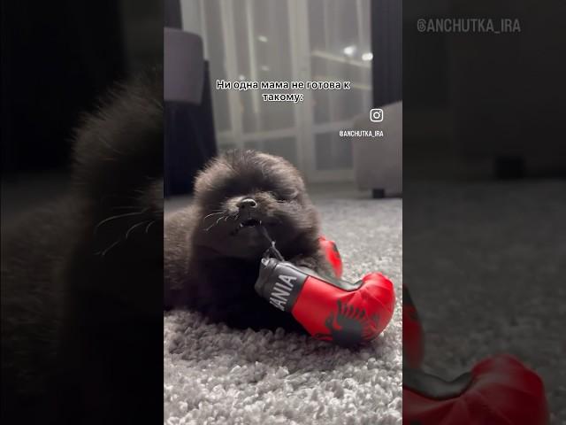 С концовки я офигела