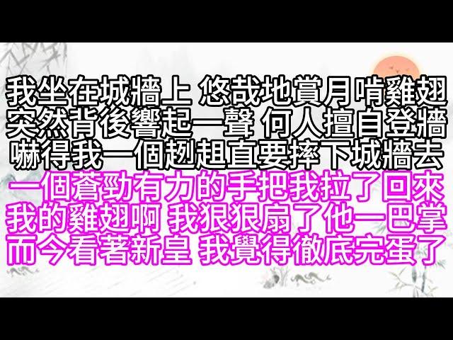 我坐在城牆上，悠哉地賞月，啃雞翅，突然背後響起一聲，何人擅自登牆，嚇得我一個趔趄，直要摔下城牆去，一個蒼勁有力的手，把我拉了回來，我的雞翅啊，我狠狠扇了他一巴掌，而今看著新皇，我覺得徹底完蛋了