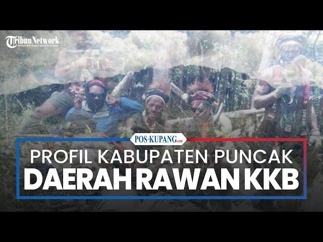 Profil Kabupaten Puncak, Daerah Rawan Aksi KKB Papua  di Papua Tengah