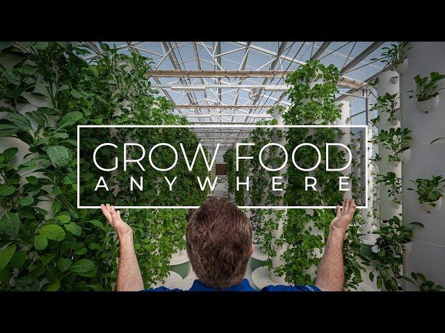 Grow Food Anywhere Without Soil and 95% Less Water | PARAGRAPHIC