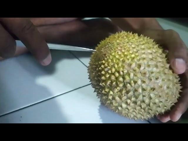 Cara Mudah Membuka Durian Menggunakan Pisau Dapur Biasa