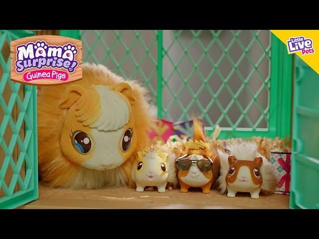 Little Live Pets | Mama Surprise TVC 30