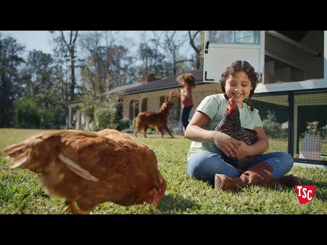 Raise Your Backyard Flock with Help from Tractor Supply