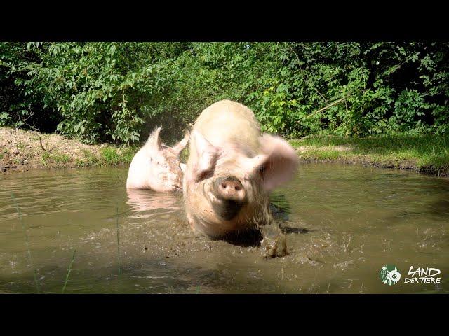 Sommerzeit ist Badezeit bei Mama Hanna und Sohn Willi 