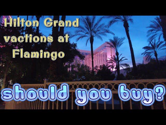 Hilton Grand Vacations at Flamingo