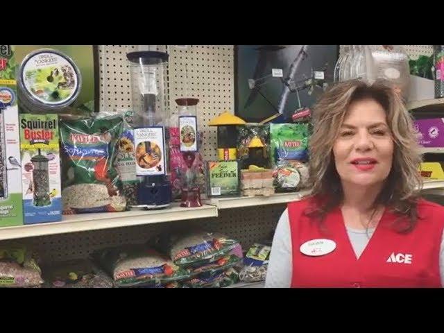 How To Get Started With Bird Feeding - Ace Hardware