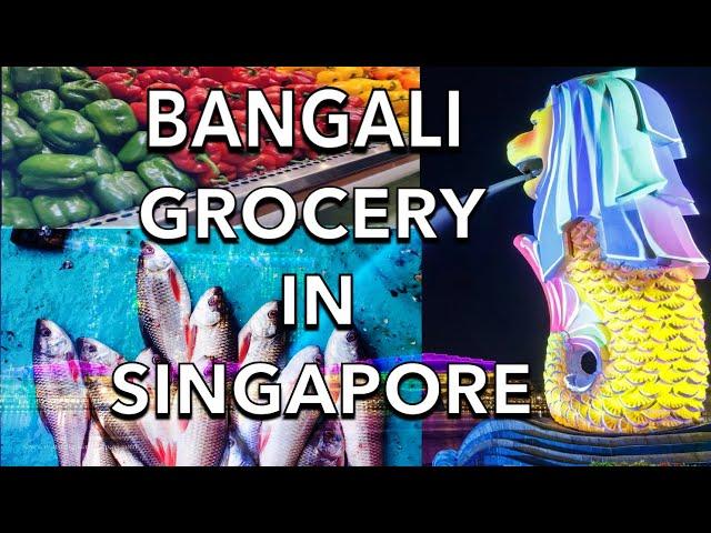 Aj gelam bengali grocery store in Singapore || Indian Grocery Store || Bangla Vlog