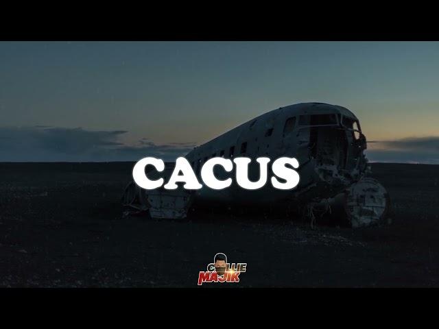 "Cacus" Tems x Burna boy x Omah Lay Type Beat - [Afrobeat 2022]